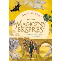 Midzy wiatem a cieniem. Magiczny ekspres. Tom 2