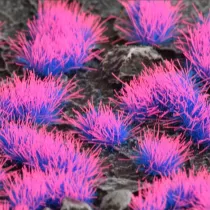 Gamers Grass Special tufts - Alien Neon (Wild)