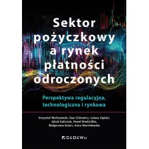 Sektor po�yczkowy a rynek p�atno�ci odroczonych