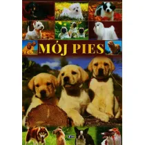 M�j pies