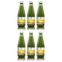Bio Food Sok toczony 100% z rokitnika zestaw 6 x 300 ml Bio