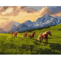 Ideyka Malowanie po numerach - Wolny duchem 40x50cm