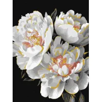 Ideyka Malowanie po numerach - Bia�e p�ki 30x40cm