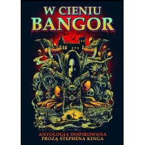W cieniu Bangor