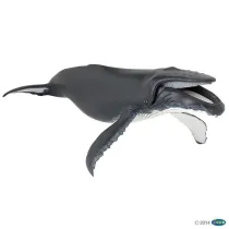 Humbak