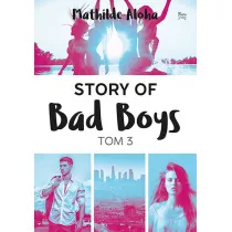Story of Bad Boys. Tom 3