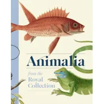 Animalia wer. angielska