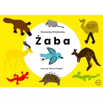 �aba