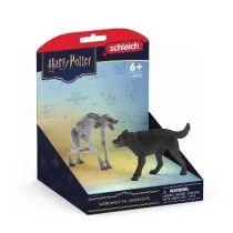 Wilko�ak Vs Animag Wizarding World