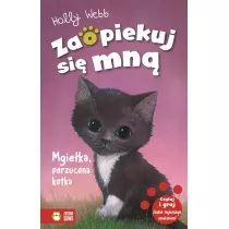 Mgie�ka, porzucona kotka. Zaopiekuj si� mn�