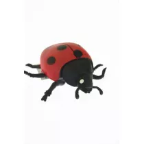 PROMO Biedronka z groszkiem 9cm p36 A141B-DB / gniotek