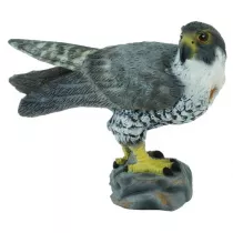 Sok