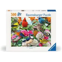 Puzzle 500 el. 2D Ptaki ogrodowe Ravensburger