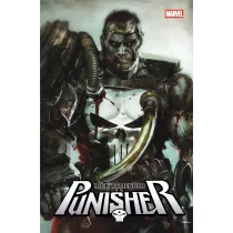 Punisher. Tom 1