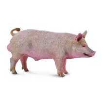 Knur