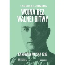 Wojna bez walnej bitwy. Kampania Polska 1939