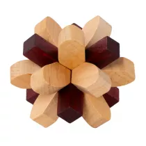 �amig��wka Brain Puzzle 2 Parietal Lobe Recent Toys poziom 4/5 G3