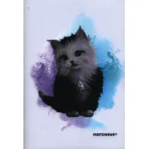Zeszyt PP JOY A4 w trzy linie 32 kartki