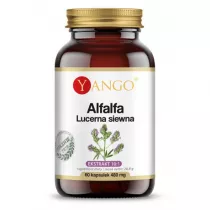Yango Alfalfa - Lucerna siewna Suplement diety 60 kaps.