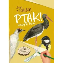 Ptaki naszych lasw. Zeszyt z kalk