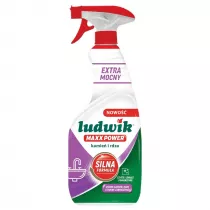 Ludwik MAXX POWER kamie i rdza 600 ml