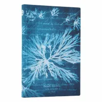 Anna Atkins` Cyanotypes Notatnik linia Sea Flowers mini