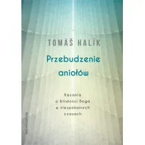 Przebudzenie anio��w. Kazania o blisko�ci Boga w niespokojnych czasach