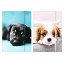 Starpak Teczka z gumk A4 Pieski mix