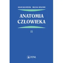 Anatomia cz�owieka. Tom 2