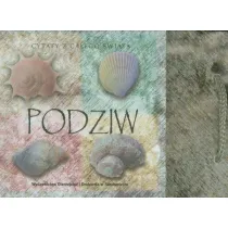 Kamyczki. Podziw * *