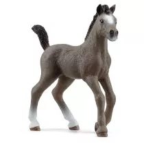 �rebak Rasy Cheval de Selle Francais SLH13957
