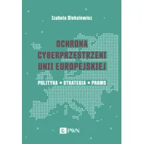 Ochrona cyberprzestrzeni Unii Europejskiej. Polityka – Strategia – Prawo
