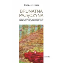 Brunatna paj�czyna
