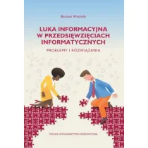 Luka informacyjna w przedsi�wzi�ciach informatycznych. Problemy i rozwi�zania