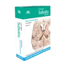 Anatomia Sobotta Flashcards. Neuroanatomia. Angielskie mianownictwo anatomiczne