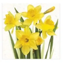 Serwetka Lunch Bunch of Yellow Daffodils SDWI003901