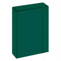 Interdruk Teczka z gumk A4 TO Box zielona