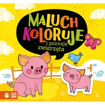 Maluch koloruje i poznaje zwierzta