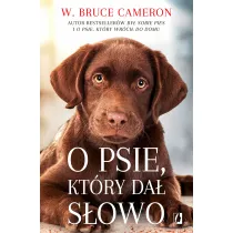 O psie, ktry da sowo