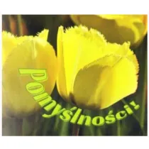 Pomy�lno�ci. Pere�ka