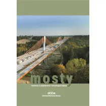 Mosty. Przemiany w projektowaniu i technologiach budowy