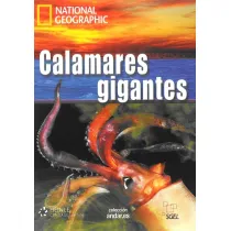 Calamares gigantes C1