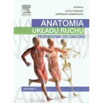 Anatomia uk�adu ruchu. Przewodnik do �wicze�