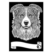 Kolorowanka Welwetowa A4 Border Collie