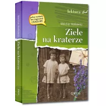 Ziele na kraterze. Lektura z opracowaniem