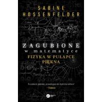 Zagubione w matematyce Fizyka w pu�apce pi�kna