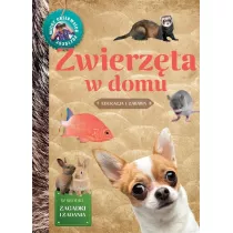 Mody Obserwator Przyrody. Zwierzta w domu