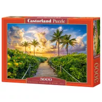 Puzzle 3000 el. C-300617-2 Colorful Sunrise in Miami, USA Castorland