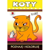 Koty. Poznaj� i koloruj�