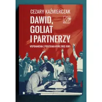 Dawid, Goliat i partnerzy. Wspomnienia z podziemia PRL 1982-89